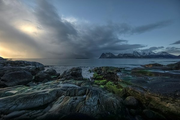 Guide Pratique pour Explorer les Magnifiques Montagnes de Harz : Astuces Essentielles pour Randonneurs